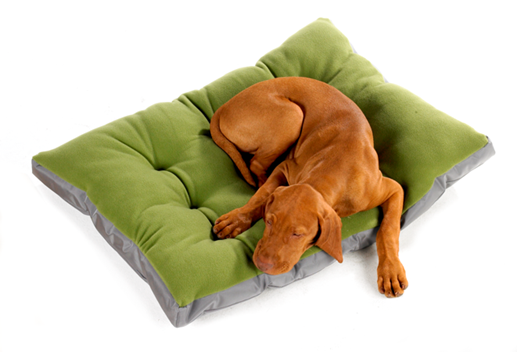 Dogs cushions